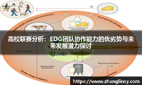 高校联赛分析：EDG团队协作能力的优劣势与未来发展潜力探讨
