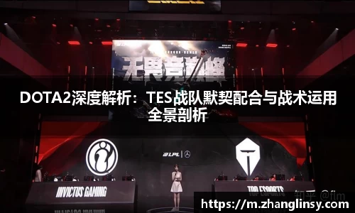 DOTA2深度解析：TES战队默契配合与战术运用全景剖析