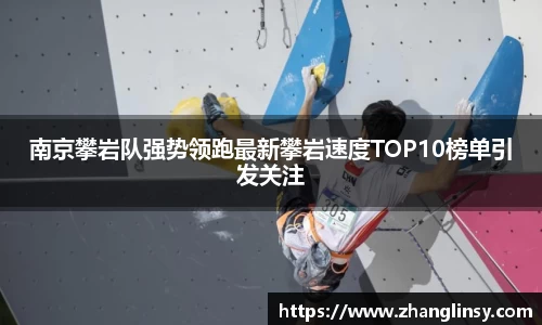 南京攀岩队强势领跑最新攀岩速度TOP10榜单引发关注